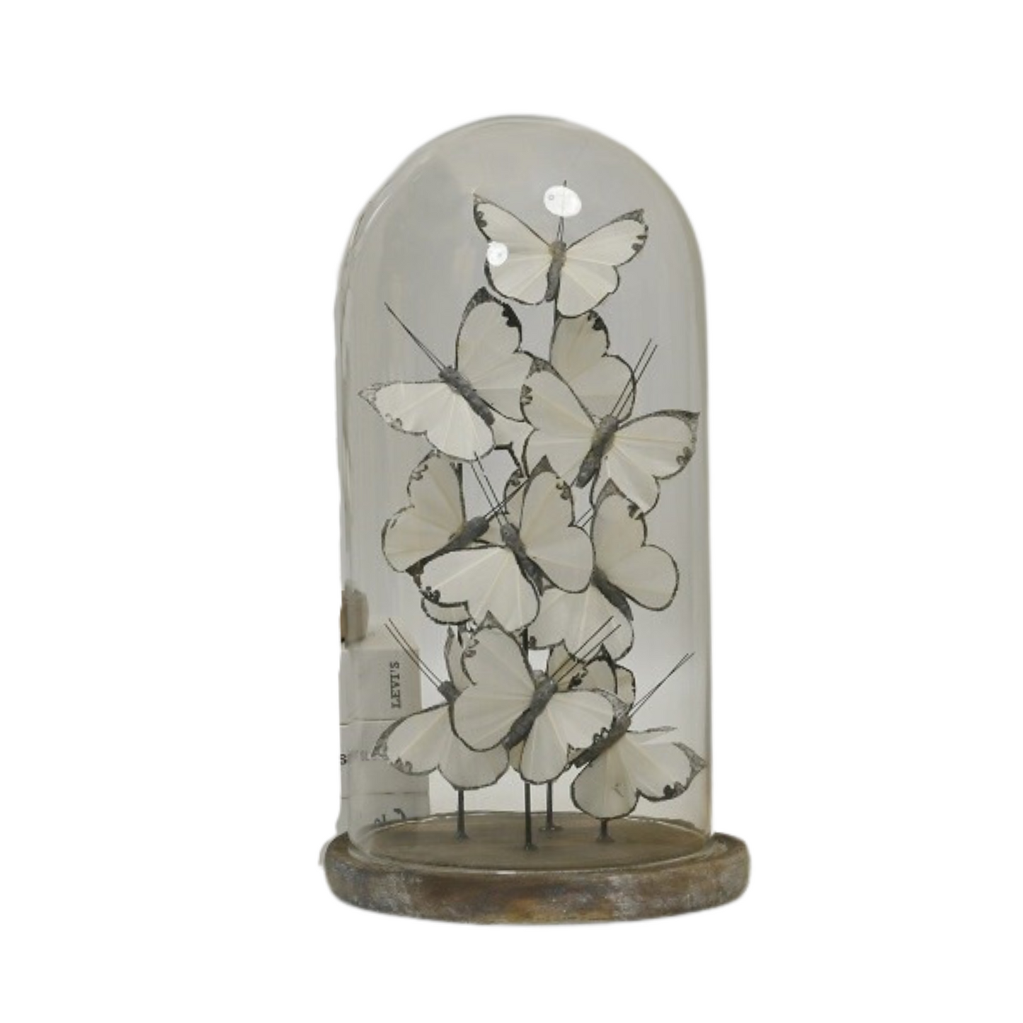 White Butterflies On Bell Jar Medium